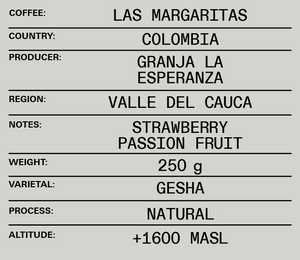 Las Margaritas